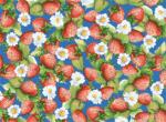 20932-B  * Popcorn the Bear *  Strawberries on Blue Background