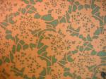 27653-1  * Sierra- Green/Orange* by Anna Griffin was 9.00