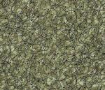 3104-c(06/11)  *Winter for All Seasons*  Grey Green with Black Squggles
