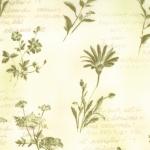32038-14 *Love Letters* Romance Salmon