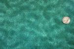 Timeless Treasures Gail CF3798 Grass