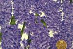 Timeless Treasures Fleur-Hyacinths