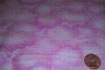 Hoffman Pink Clouds B465