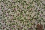 Blank Bella Rosa Small Roses on Cream