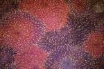Robert Kaufman Fabrics Imperial Fusions Amethyst