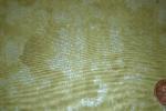 Blank Rock Candy Bamboo