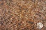 Avlyn Inc Surf- Brown