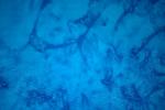 Anthology Fabric-Blue