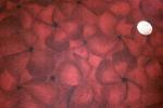 Blank-Floret Flannel Ruby
