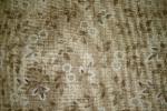 Buggy Barn Creamery Neutrals III Tan