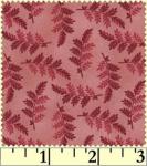 Willowberry Basics