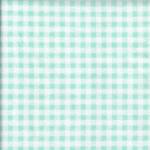 ET - Gingham in Aqua 