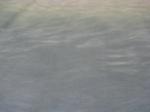 Sea mist