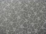 Dots