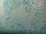 Sea greens with frost