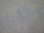Blue and white frost