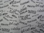 cat saying s on white