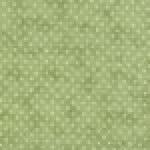 Essential Dots Sage
