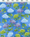 Y0652 30 HYDRANGEAS BY SUE ZIPKIN