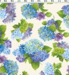 Y0653 2 HYDRANGEAS BY SUE ZIPKIN