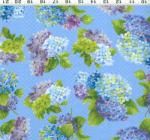 Y0653 30 HYDRANGEAS BY SUE ZIPKIN