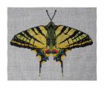 DH3621 - Yellow Swallowtail