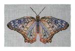 DH3622 - Emperor