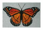 DH3636 - Monarch