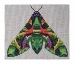 DH3659 - Oleander Moth