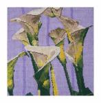 DH3677 - Callas