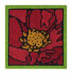 DH3741 - Mini Red Hot Poppy