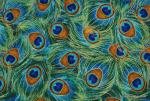 Peacock Feather Pattern Bird Plume Metallic Gold Accent Asia Cotton Fabric Quilt Fabric ABO143