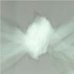 Netting Tulle Tutu Fabric SOLD BY THE 40 yard Bolt 72 inches wide  OSFT14