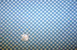 South South Seas Blue & White Checkered