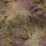 Patina Handpaints Ochre by Robert Kaufman