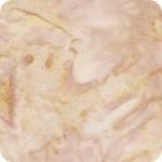 Cider Prisma Dyes Batik- Lunn Batik