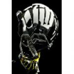 Oregon Ducks LiquidMetal Riddell Revolution Speed Full Size Authentic Football Helmet