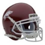 Arkansas Razorbacks Schutt Authentic Mini Football Helmet