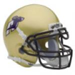 Akron Zips Schutt Authentic Mini Football Helmet