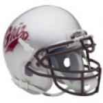 Montana Grizzlies Schutt Authentic Mini Football Helmet
