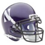 Northwestern Wildcats Schutt Authentic Mini Football Helmet