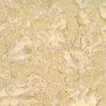 Moda 42020 14 Honey