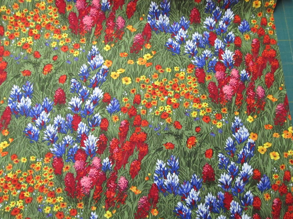Texas Wildflowers F1286