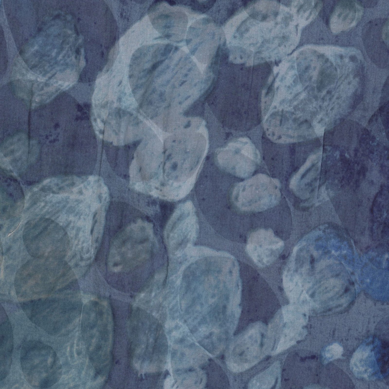 Cotton Voile and Lawn