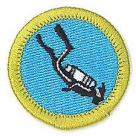 Merit Badge