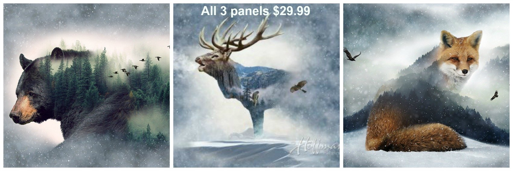 A Quilt and Sewing Boutique in Durango, Colorado