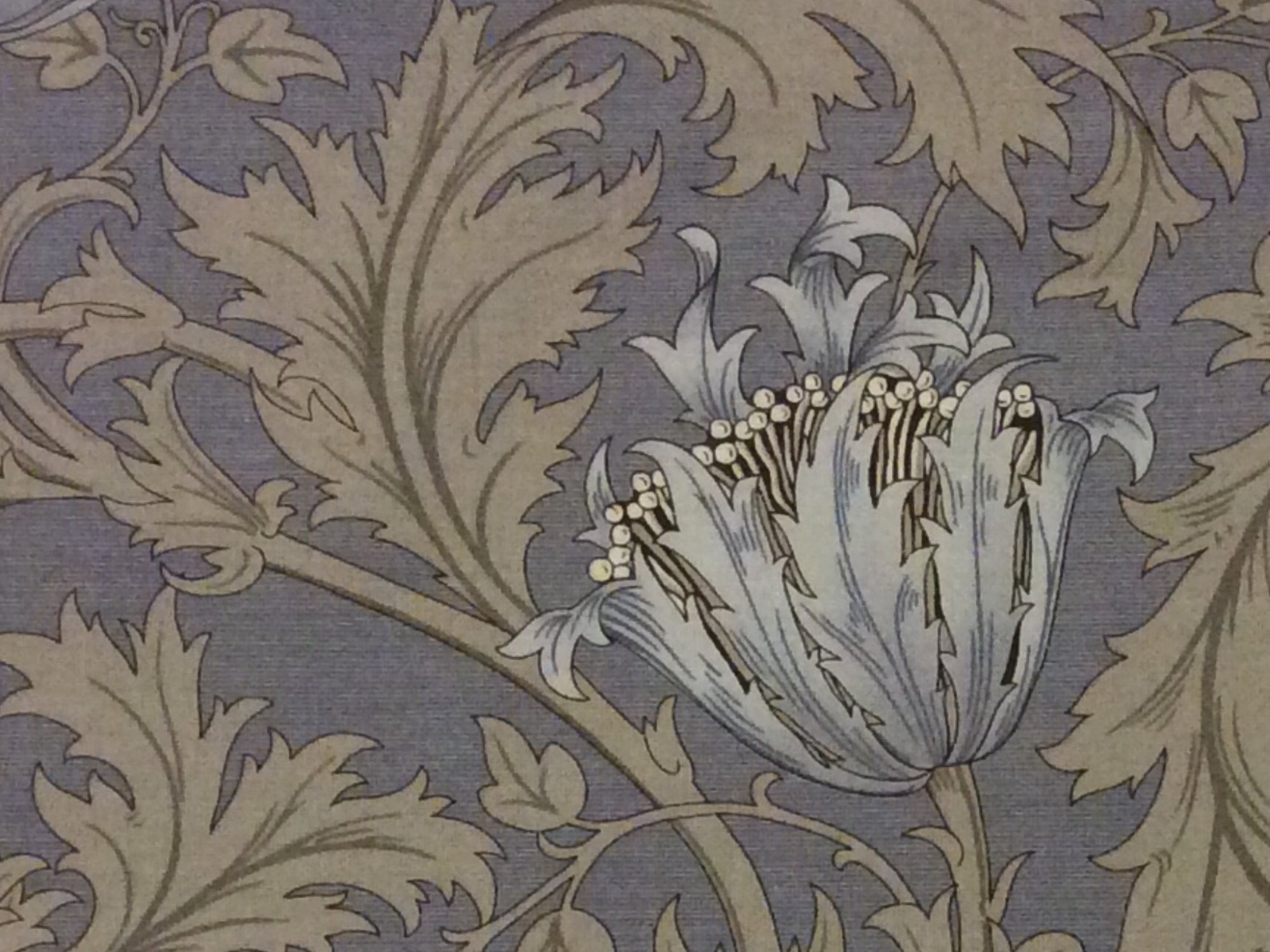 William Morris Brackman Liberty Style Floral Cotton Quilting Fabric Moda MO15