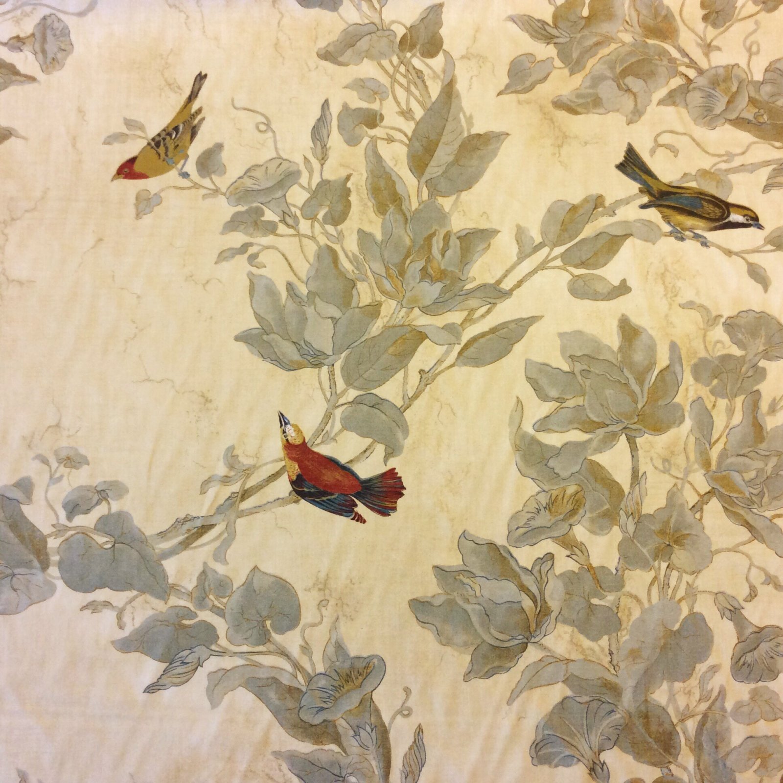 Watercolor Songbirds Beautiful Illustrated Hand Colored Bird Cotton