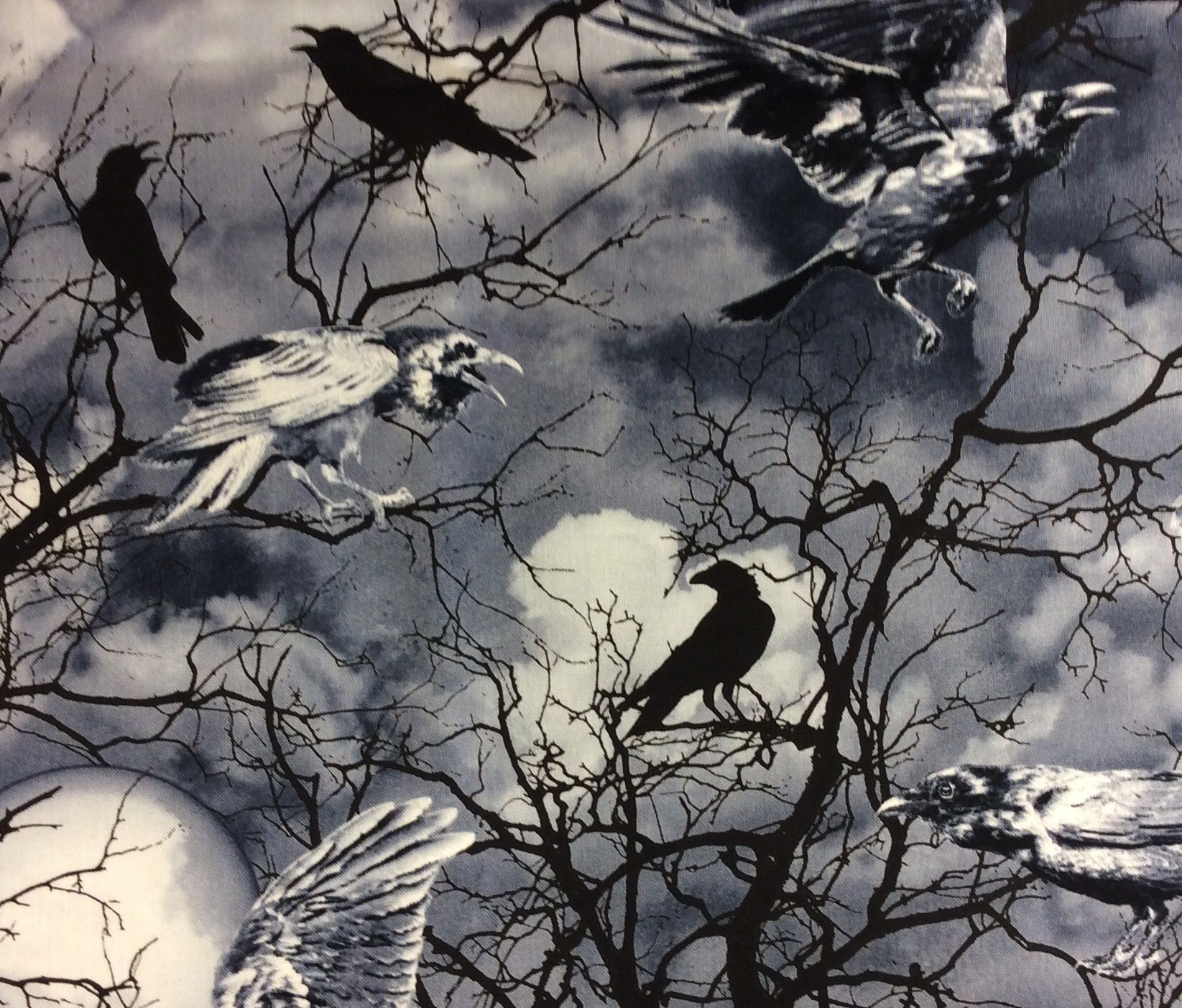Three black crows sat on a tree