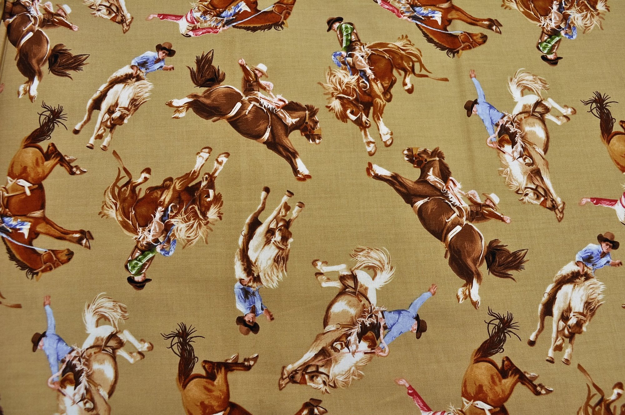 Western - Cowboys and Cowgirls